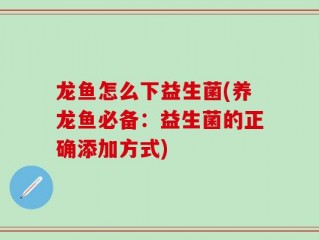 龙鱼怎么下益生菌(养龙鱼必备：益生菌的正确添加方式)