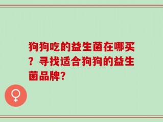 狗狗吃的益生菌在哪买？寻找适合狗狗的益生菌品牌？
