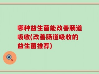 哪种益生菌能改善肠道吸收(改善肠道吸收的益生菌推荐)