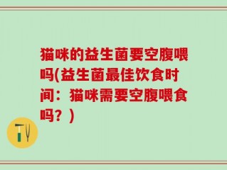 猫咪的益生菌要空腹喂吗(益生菌最佳饮食时间：猫咪需要空腹喂食吗？)