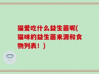 猫爱吃什么益生菌呢(猫咪的益生菌来源和食物列表！)