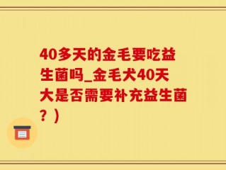 40多天的金毛要吃益生菌吗_金毛犬40天大是否需要补充益生菌？)