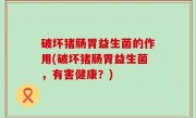 破坏猪肠胃益生菌的作用(破坏猪肠胃益生菌，有害健康？)