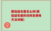 蘑菇益生菌怎么样(蘑菇益生菌的功效及使用方法详解)
