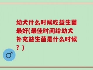 幼犬什么时候吃益生菌最好(最佳时间给幼犬补充益生菌是什么时候？)