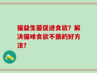 猫益生菌促进食欲？解决猫咪食欲不振的好方法？