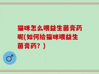 猫咪怎么喂益生菌膏药呢(如何给猫咪喂益生菌膏药？)