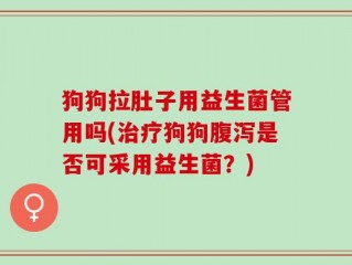 狗狗拉肚子用益生菌管用吗(治疗狗狗腹泻是否可采用益生菌？)