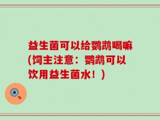益生菌可以给鹦鹉喝嘛(饲主注意：鹦鹉可以饮用益生菌水！)
