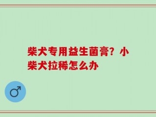 柴犬专用益生菌膏？小柴犬拉稀怎么办