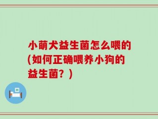 小萌犬益生菌怎么喂的(如何正确喂养小狗的益生菌？)