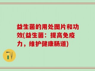 益生菌的用处图片和功效(益生菌：提高免疫力，维护健康肠道)