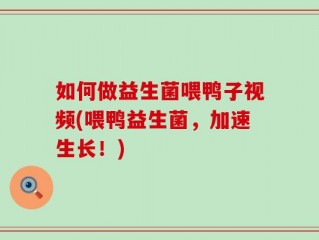 如何做益生菌喂鸭子视频(喂鸭益生菌，加速生长！)