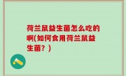 荷兰鼠益生菌怎么吃的啊(如何食用荷兰鼠益生菌？)