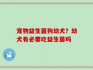 宠物益生菌狗幼犬？幼犬有必要吃益生菌吗