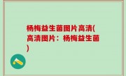 杨梅益生菌图片高清(高清图片：杨梅益生菌)