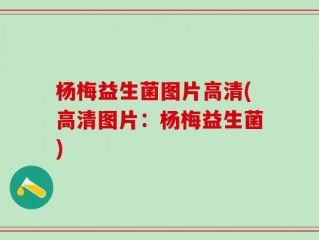 杨梅益生菌图片高清(高清图片：杨梅益生菌)