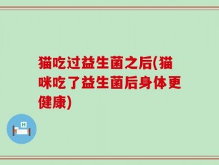 猫吃过益生菌之后(猫咪吃了益生菌后身体更健康)