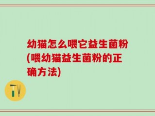 幼猫怎么喂它益生菌粉(喂幼猫益生菌粉的正确方法)