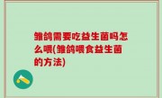 雏鸽需要吃益生菌吗怎么喂(雏鸽喂食益生菌的方法)