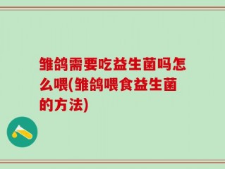 雏鸽需要吃益生菌吗怎么喂(雏鸽喂食益生菌的方法)
