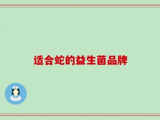 适合蛇的益生菌品牌