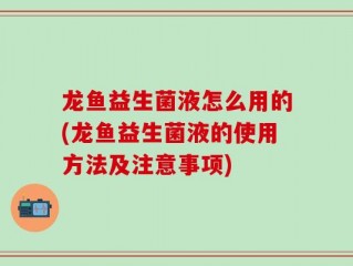龙鱼益生菌液怎么用的(龙鱼益生菌液的使用方法及注意事项)