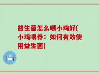 益生菌怎么喂小鸡好(小鸡喂养：如何有效使用益生菌)