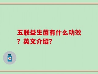 五联益生菌有什么功效？英文介绍？