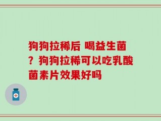 狗狗拉稀后 喝益生菌？狗狗拉稀可以吃乳酸菌素片效果好吗