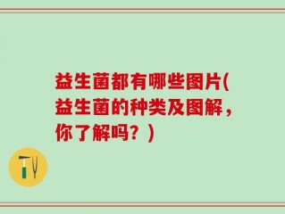 益生菌都有哪些图片(益生菌的种类及图解，你了解吗？)