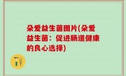 朵爱益生菌图片(朵爱益生菌：促进肠道健康的良心选择)