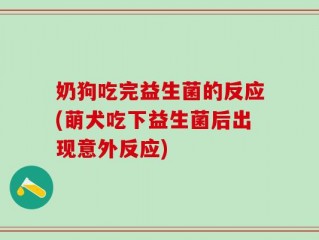 奶狗吃完益生菌的反应(萌犬吃下益生菌后出现意外反应)