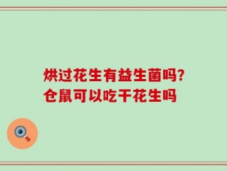 烘过花生有益生菌吗？仓鼠可以吃干花生吗