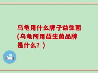 乌龟用什么牌子益生菌(乌龟所用益生菌品牌是什么？)