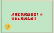 幼猫口臭买益生菌？小猫有口臭怎么解决