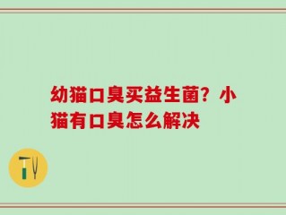 幼猫口臭买益生菌？小猫有口臭怎么解决