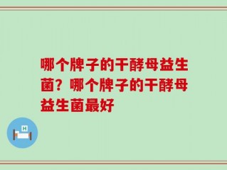 哪个牌子的干酵母益生菌？哪个牌子的干酵母益生菌最好
