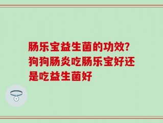 肠乐宝益生菌的功效？狗狗肠炎吃肠乐宝好还是吃益生菌好