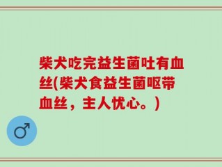柴犬吃完益生菌吐有血丝(柴犬食益生菌呕带血丝，主人忧心。)
