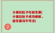 小猫拉肚子吃益生菌(小猫拉肚子成功缓解，益生菌功不可没)