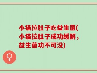 小猫拉肚子吃益生菌(小猫拉肚子成功缓解，益生菌功不可没)