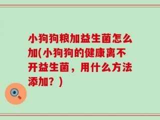 小狗狗粮加益生菌怎么加(小狗狗的健康离不开益生菌，用什么方法添加？)