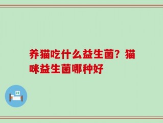 养猫吃什么益生菌？猫咪益生菌哪种好