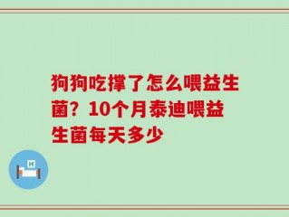 狗狗吃撑了怎么喂益生菌？10个月泰迪喂益生菌每天多少