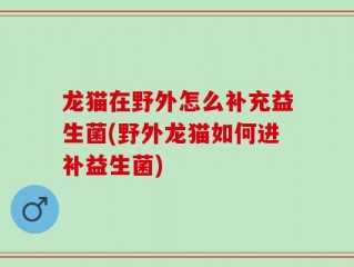 龙猫在野外怎么补充益生菌(野外龙猫如何进补益生菌)