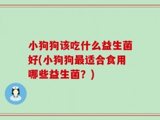 小狗狗该吃什么益生菌好(小狗狗最适合食用哪些益生菌？)