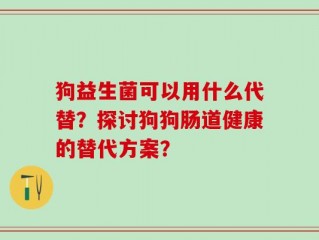 狗益生菌可以用什么代替？探讨狗狗肠道健康的替代方案？