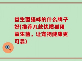 益生菌猫咪的什么牌子好(推荐几款优质猫用益生菌，让宠物健康更可靠)