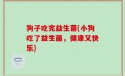 狗子吃完益生菌(小狗吃了益生菌，健康又快乐)